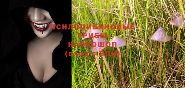 стаф Надым