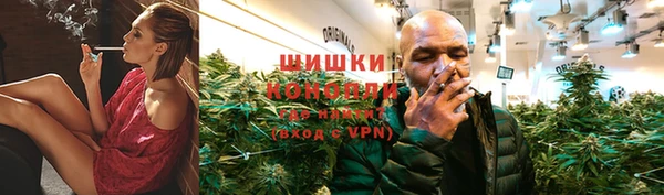 стаф Надым