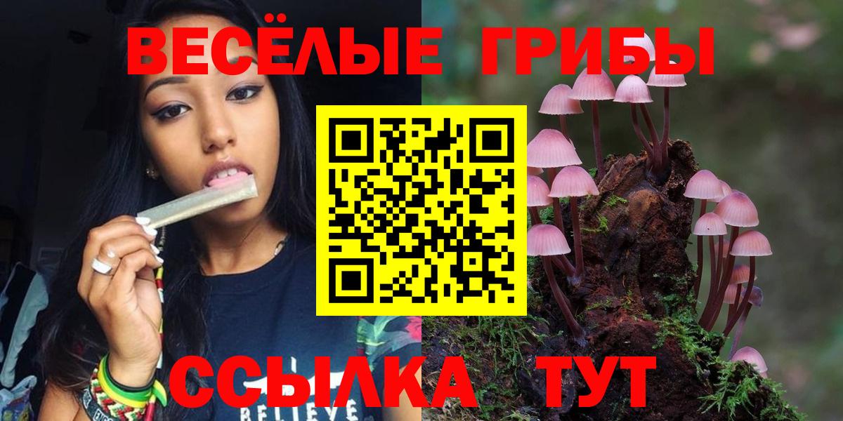 Псилоцибиновые грибы GOLDEN TEACHER  хочу наркоту  Псилоцибиновые грибы GOLDEN TEACHER  Ржев 